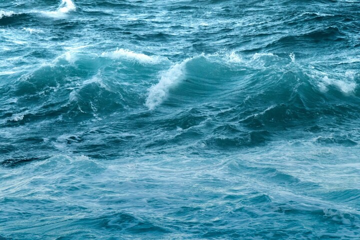 Protection des océans : des associations demandent à Macron une «<small class="fine d-inline"> </small>action urgente<small class="fine d-inline"> </small>»