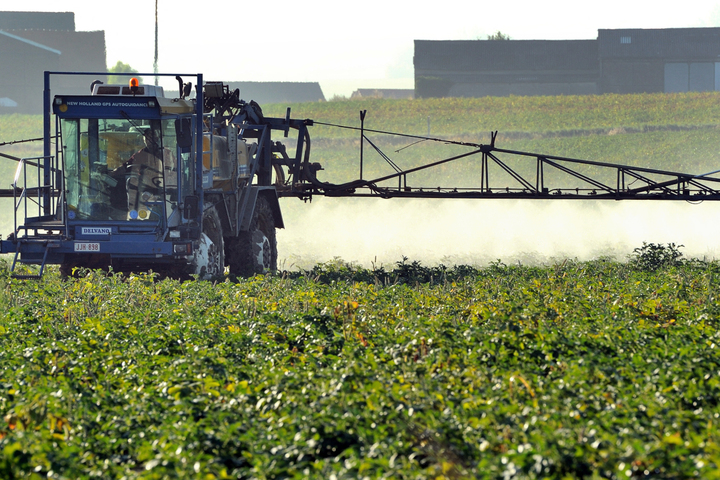 Les alternatives aux néonicotinoïdes existent mais ne sont pas assez développées, selon l'Inrae
