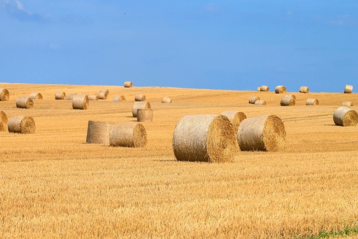La quatrième canicule de l'été attendue en France