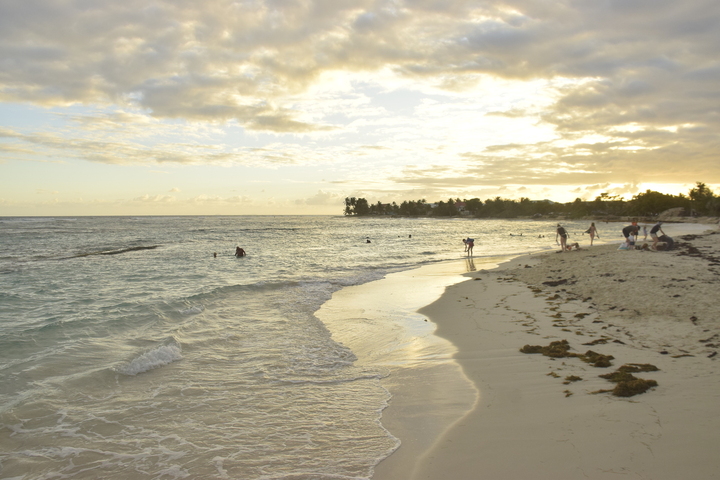 En Guadeloupe, l'eau ronge la côte... et des os d'esclaves sortent du sable
