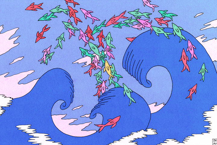 Les poissons, des êtres sensibles et conscients, loin de nos regards