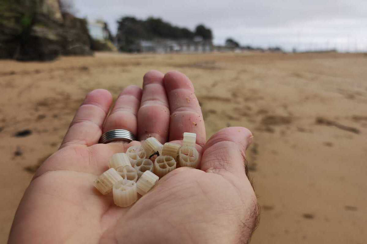 Ces résidus de stations d'épuration qui envahissent plages et océans