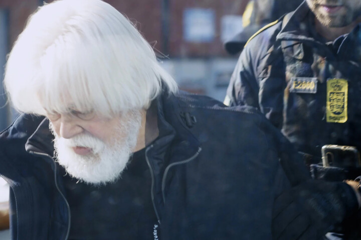 Paul Watson, fondateur de Sea Shepherd, a été arrêté par la police danoise