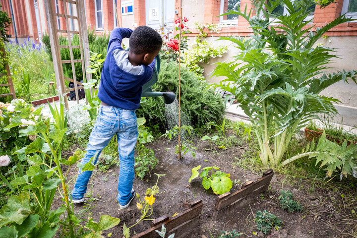 Les potagers scolaires transforment la relation des enfants au vivant, montre une étude
