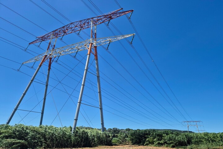 En Camargue, des lignes à haute tension exemptées d'évaluation environnementale