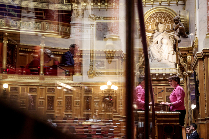 Le retour de l'acétamipride à nouveau contesté devant le Conseil Constitutionnel
