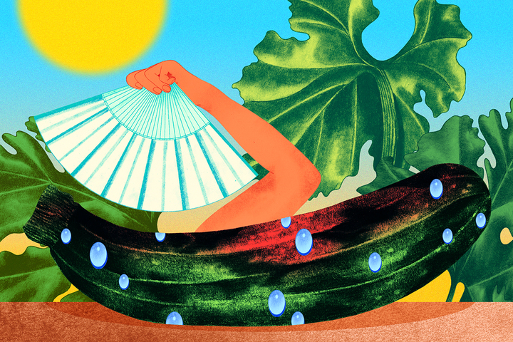 «<small class="fine d-inline"> </small>Le changement climatique vu par mes courgettes<small class="fine d-inline"> </small>»