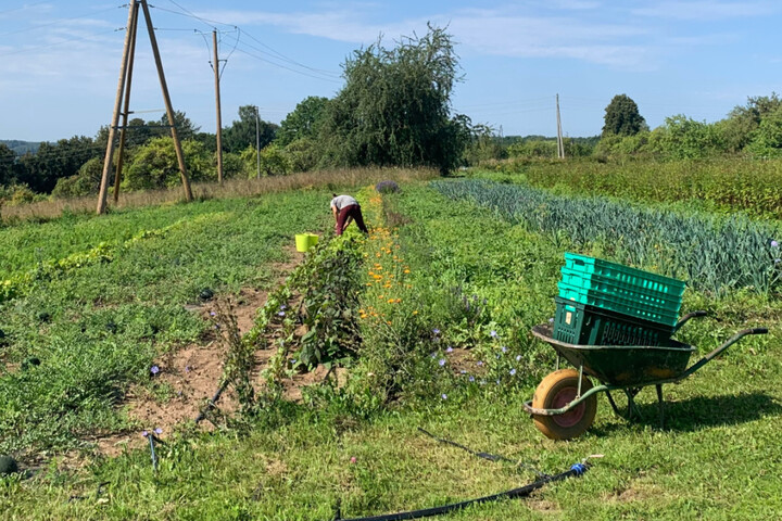 Les pays baltes, champions européens de l'agriculture biologique