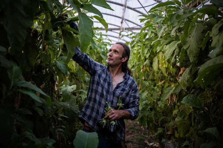 Thierry, agriculteur, brise le tabou des pesticides et reçoit des menaces