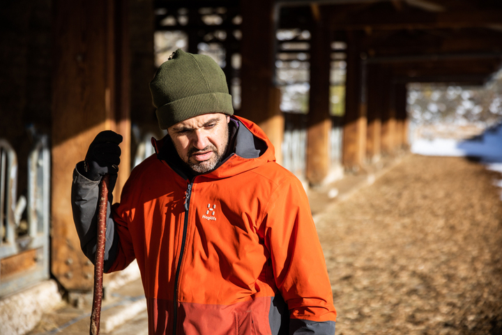 Dermatose bovine : la politique de l'État décime les troupeaux