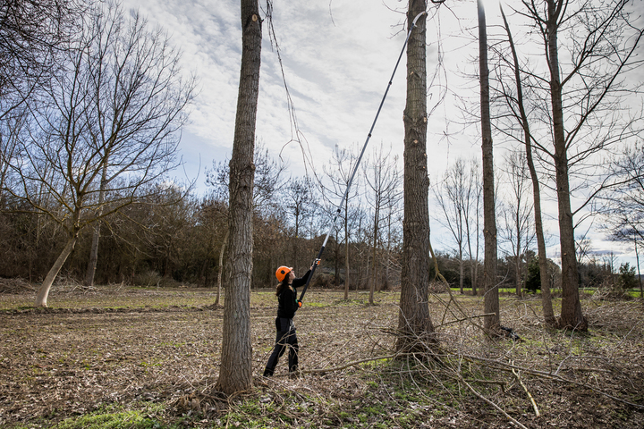 «<small class="fine d-inline"> </small>Il fait jusqu'à 4 °C de moins sous les arbres<small class="fine d-inline"> </small>» : l'agroforesterie pourrait être l'avenir du maraîchage