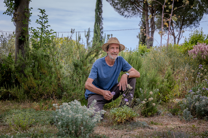 Des jardins sans gazon<small class="fine d-inline"> </small>? Ça existe, et c'est réussi<small class="fine d-inline"> </small>!