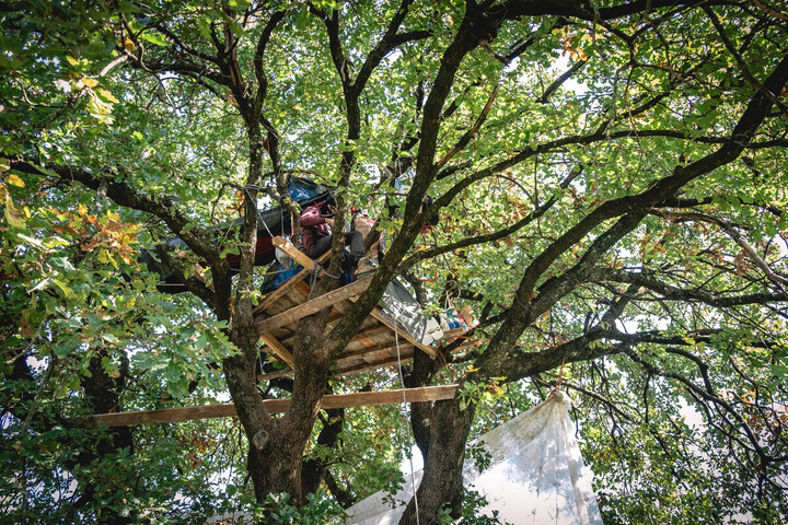 En Ardèche, des militants occupent des arbres pour protester contre un projet routier