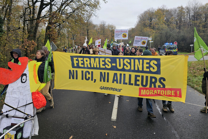 Mégaferme aux 140 000 poules : ils refusent l'industrialisation de leur campagne 