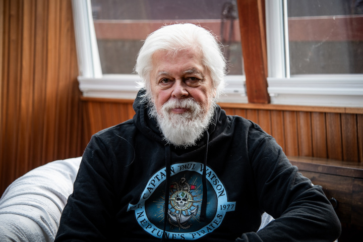 Paul Watson libéré par la justice danoise