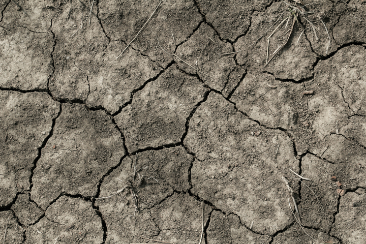 Sécheresses, canicules et inondations de l'été ont coûté plus de 43 milliards d'euros à l'Europe