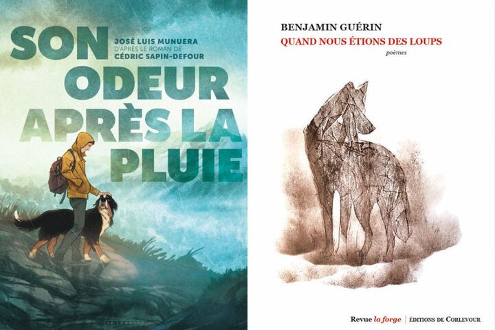  La poésie de la nature, nos livres de rentrée