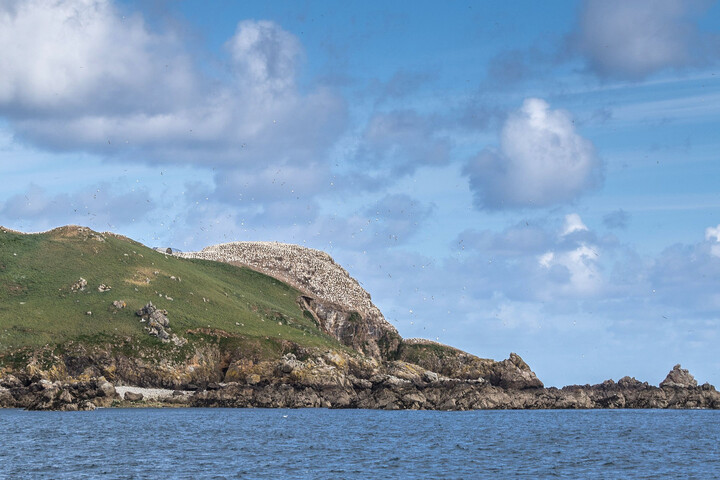 Réserve des Sept-Îles : les pêcheurs volent dans les plumes de la <span class="caps">LPO</span>