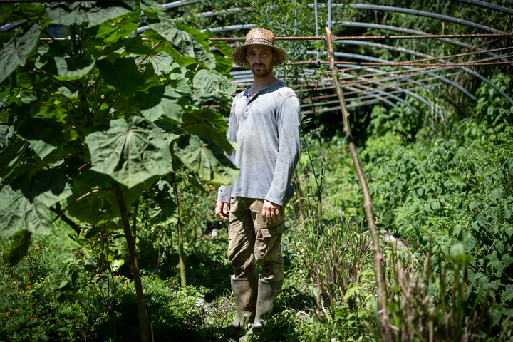 En Guadeloupe et Martinique, la bio plaît aux agriculteurs