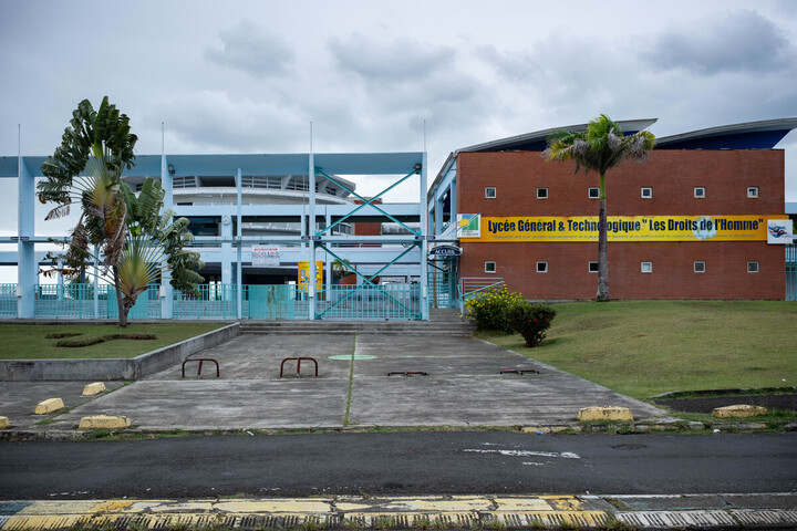«<small class="fine d-inline"> </small>L'odeur est insupportable<small class="fine d-inline"> </small>» : les sargasses s'invitent jusque dans les écoles aux Antilles