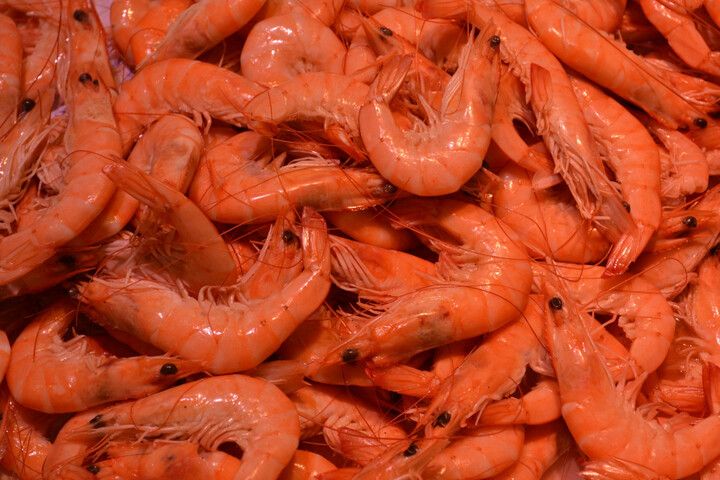 Crevettes radioactives : en Indonésie, un accident majeur détecté jusqu'aux États-Unis et en Europe