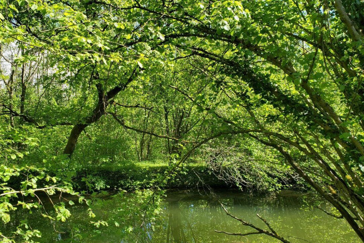 Canal du Rhône au Rhin : le chantier suspendu par la justice