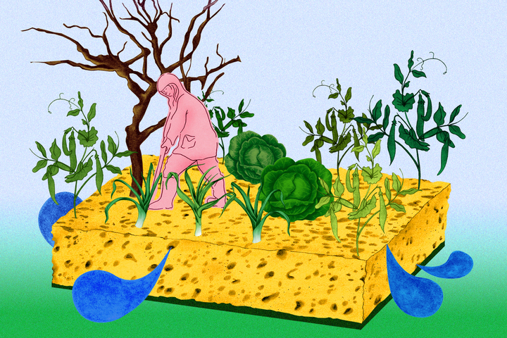 «<small class="fine d-inline"> </small>Au jardin, ma minibassine ne me sauvera ni des crues ni des sécheresses<small class="fine d-inline"> </small>»
