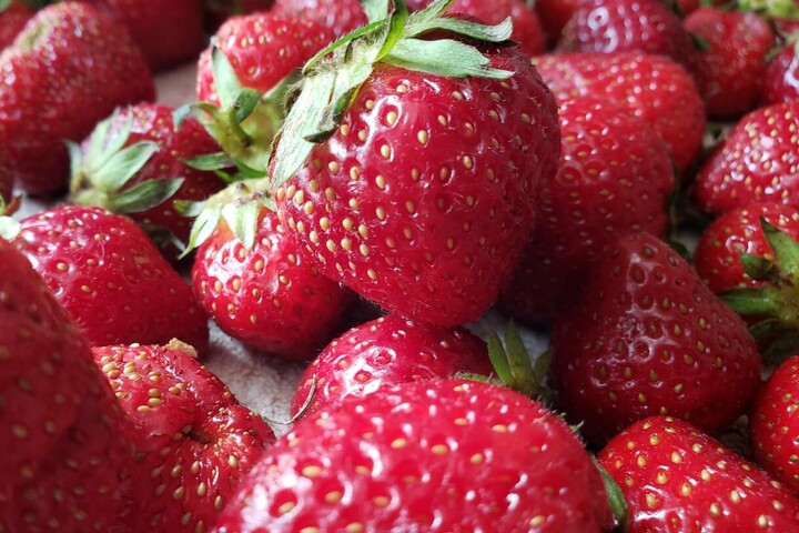 Des <span class="caps">PFAS</span> dans les fraises : 6 échantillons sur 10 cultivés en Europe contaminés