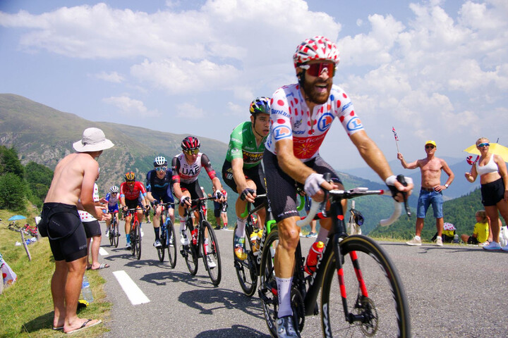 Oiseaux : le Tour de France doit faire moins de bruit