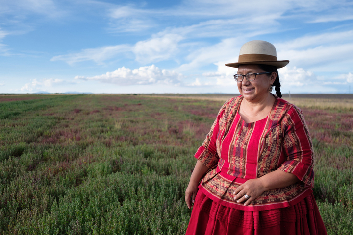 Alternative au quinoa, la cañahua gagne du terrain en Bolivie