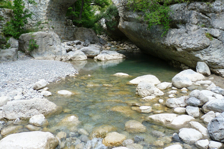 L'état «<small class="fine d-inline"> </small>très critique<small class="fine d-inline"> </small>» de l'eau inquiète l'Europe