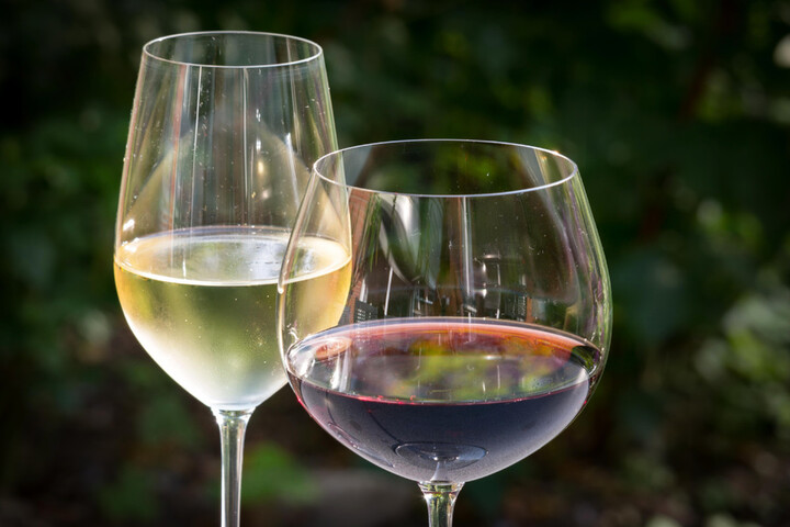Produire du vin en Méditerranée sera quasi impossible «<small class="fine d-inline"> </small>d'ici la fin du siècle<small class="fine d-inline"> </small>»