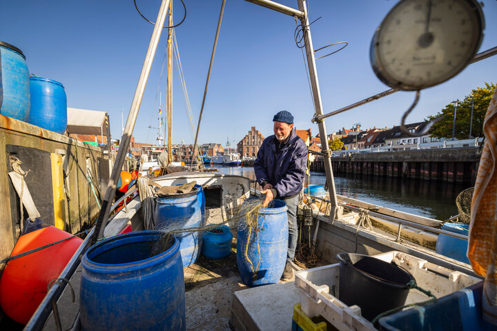 Face à la disparition des poissons, des pêcheurs deviennent gardiens de la mer