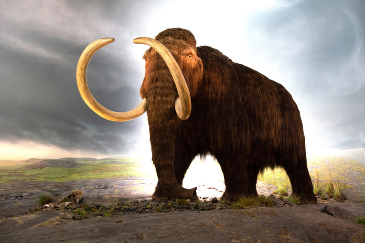 Faire revivre le mammouth et le dodo : du «<small class="fine d-inline"> </small>bricolage génétique<small class="fine d-inline"> </small>» et des gros sous