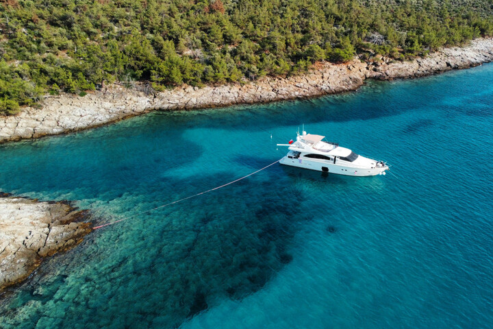 Posidonies : deux capitaines de yacht condamnés pour préjudice écologique