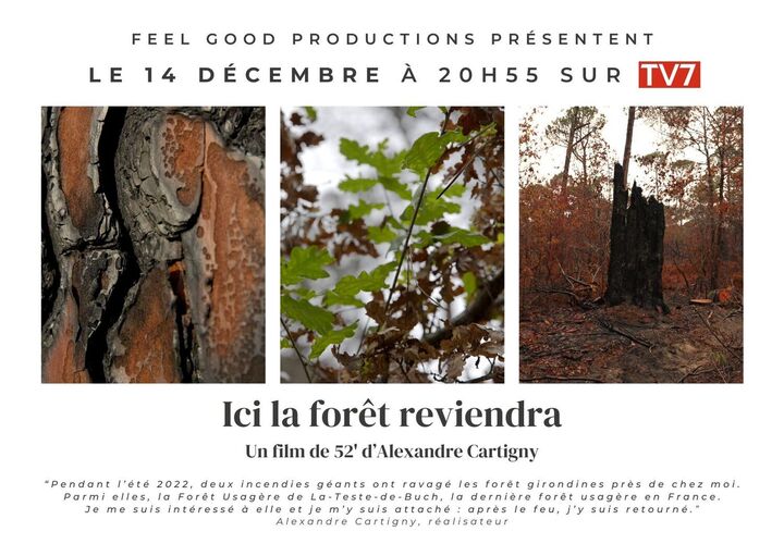 «<small class="fine d-inline"> </small>Ici la forêt reviendra<small class="fine d-inline"> </small>», documentaire à Bordeaux (Gironde)
