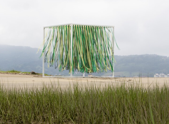 Carbone bleu, une exposition sur les écosystèmes du littoral, à Biarritz (Pyrénées-Atlantiques)