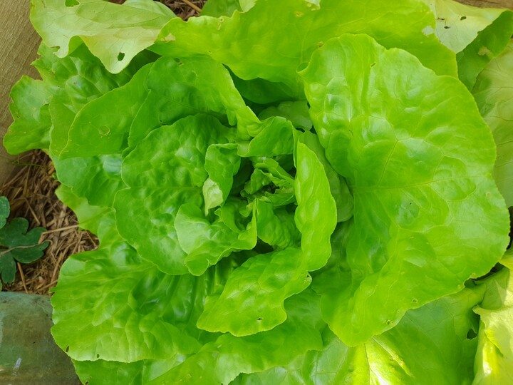 La politique agricole commune en question : qui va nous nourrir<small class="fine d-inline"> </small>? visites de fermes et échange dans les Ardennes