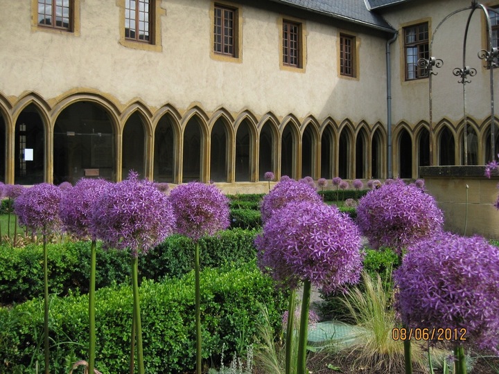 «<small class="fine d-inline"> </small>Les Entretiens One Health<small class="fine d-inline"> </small>», à Metz (Moselle)