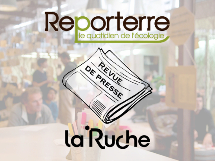 Notre-Dame-des-Landes au menu de La revue de presse de Reporterre : venez discuter avec la rédaction