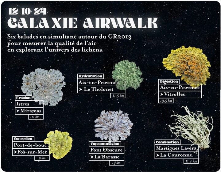 Galaxie AirWalk : 6 balades en simultané pour observer les lichens (Bouches-du-Rhône)
