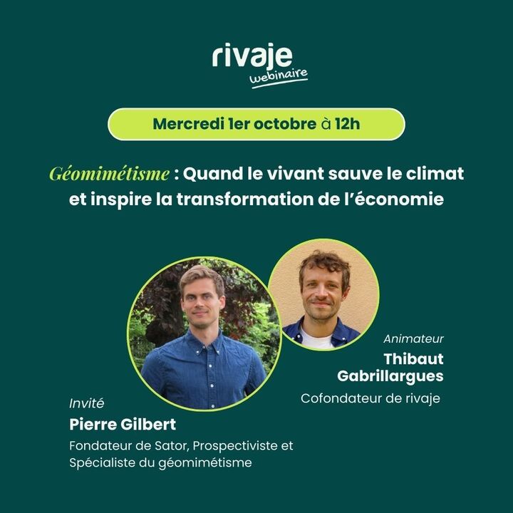 «<small class="fine d-inline"> </small>Le géomimétisme<small class="fine d-inline"> </small>», webinaire