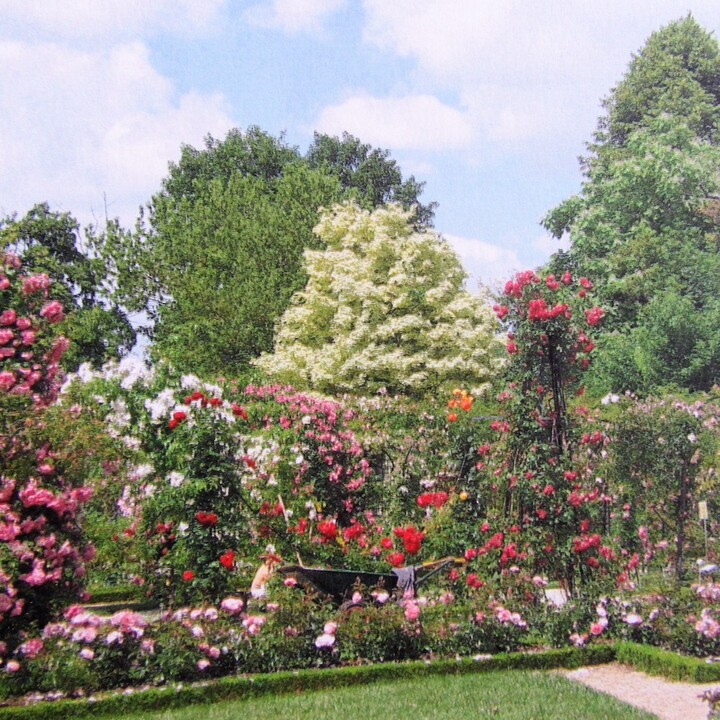 «<small class="fine d-inline"> </small>Touche pas ma Roseraie<small class="fine d-inline"> </small>!<small class="fine d-inline"> </small>», rassemblement à L'Haÿ-les-Roses (Val-de-Marne)