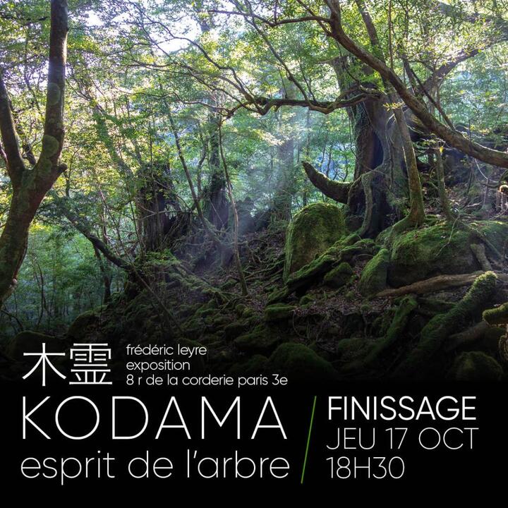 Kodama Esprit de l'arbre, exposition à Paris