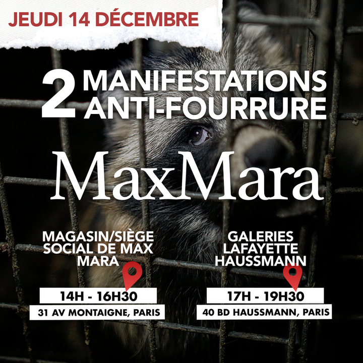 Manifestations antifourrure, à Paris