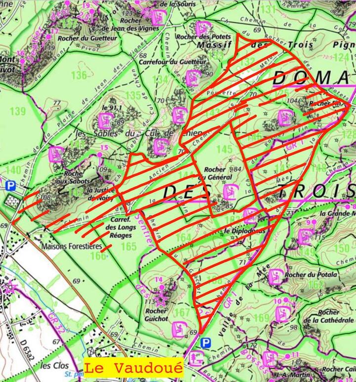 Mobilisation contre le déboisement massif en forêt des Trois Pignons (Fontainebleau), au Vaudoué (Seine-et-Marne)