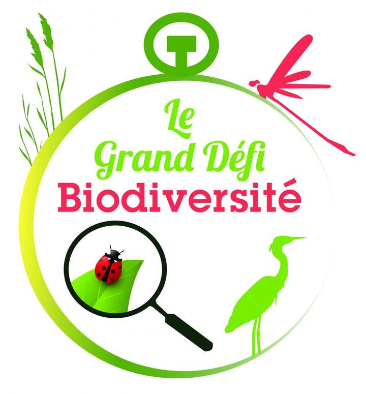 Le Grand Défi Biodiversité, à Arles (Bouches-du-Rhône)
