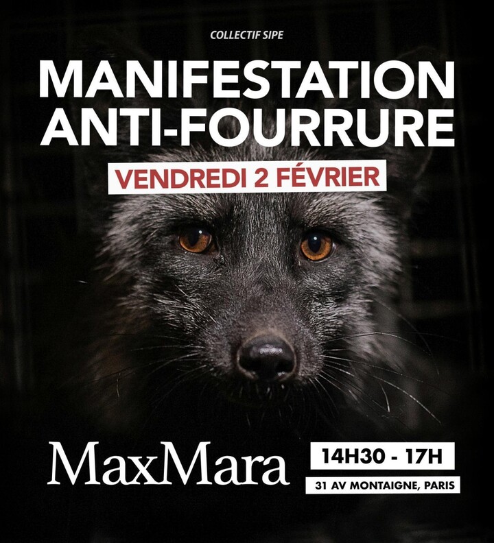 Manifestation contre la fourrure, à Paris