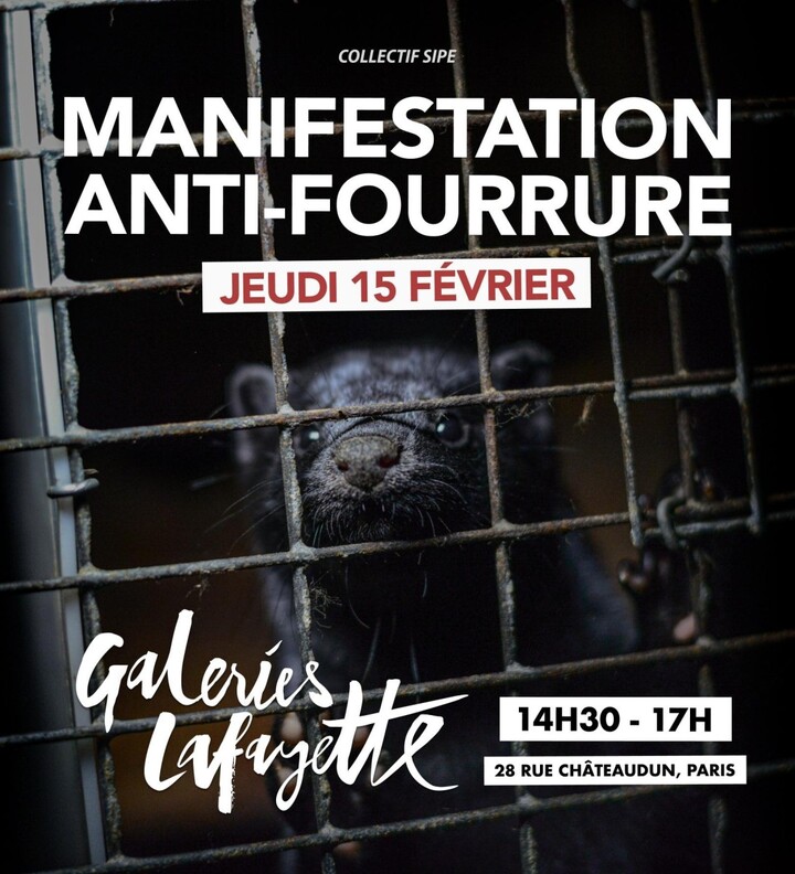 Manifestation internationale antifourrure, à Paris