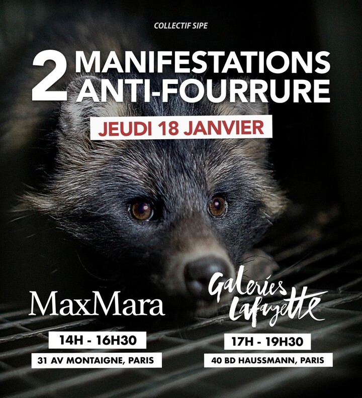 Manifestations anti-fourrure, à Paris